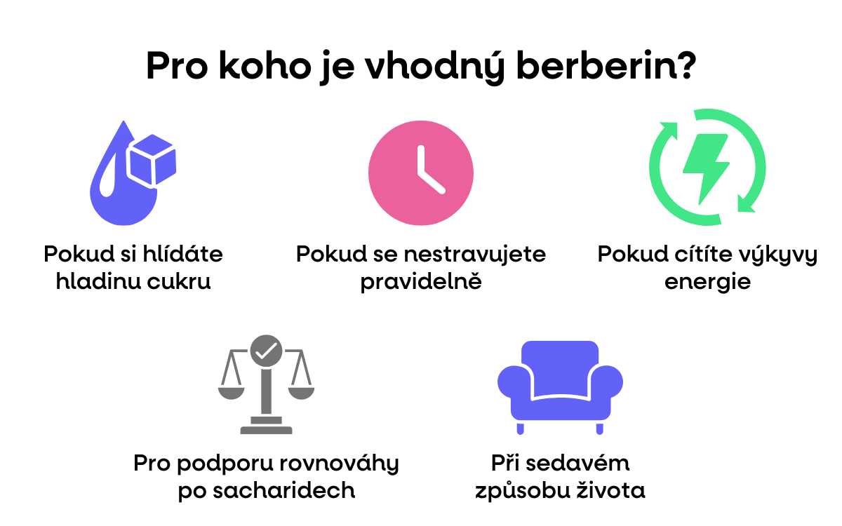 infografika berberin dva